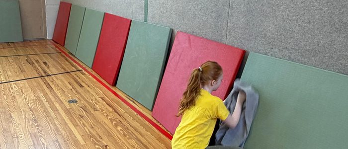 Mattenreinigen in Stromberg